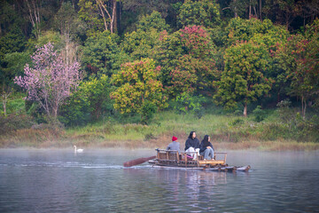 Pang Ung or Pang Tong Reservoir with family tourists travel rafting in lake with white swan and nature tiger claw tree or pink cherry blossom and morning fog mist on water surface in winter Thailand