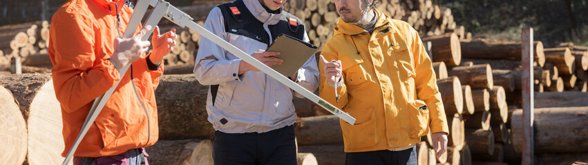 林業など第一次産業で働く人複数の人　ノギスで丸太を図る、不動産の木材材料のメージ(多摩木材センター協同組合プロパティ許可ずみ）顔無し