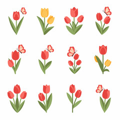 Collection of Red Yellow Tulip Illustrations.