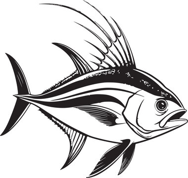 Roosterfish Fish (Sport Fishing) Hand-drawn Sketch Drawing Vector Illustration, Line Linear Symbol Engraving Coloring Book, Black and White Isolated