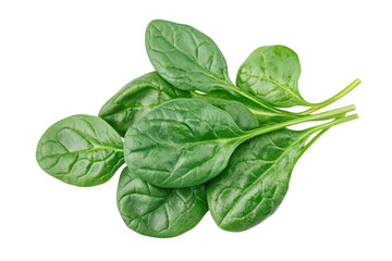 Fototapeta premium Fresh bunch of vibrant green spinach leaves, healthy and organic, perfect for cooking and nutrition isolated on transparent background