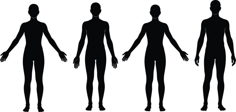 Black vector silhouette set of four male and female human figures standing in anatomical position for medical health fitness and body representation design