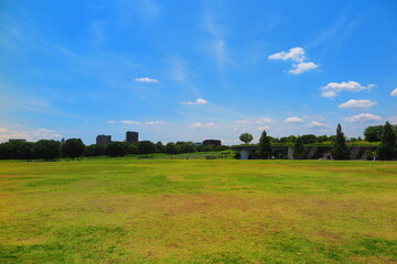 都市の緑の風景1