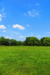 Obraz premium 青空、白い雲、緑の木々、芝生の広場、風景4