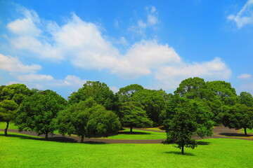 Fototapeta premium 青空、白い雲、緑の木々、芝生の広場、風景9