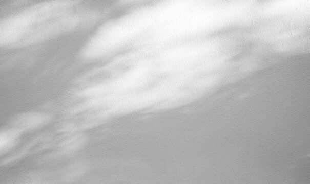 Minimalist white wall with soft natural light shadows. Aesthetic texture background for product mockup.