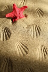 Red Starfish on Sunny Sandy Beach with Shell Patterns. Summer Vacation and Seaside Concept.