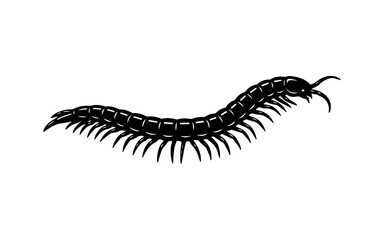 Black centipede silhouette illustration on white background.