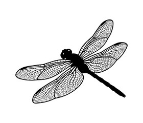 A detailed and elegant black silhouette of a dragonfly in flight.