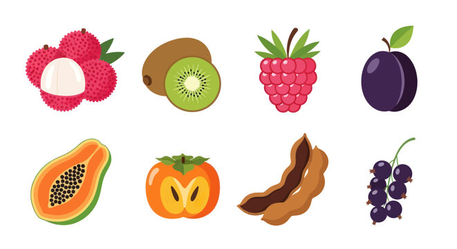 Fresh fruit assortment vector illustration isolated on white background