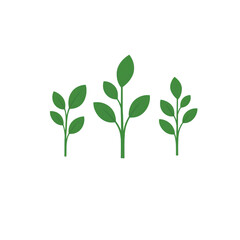 Fototapeta premium Three stylized green plants with leaves against a black background