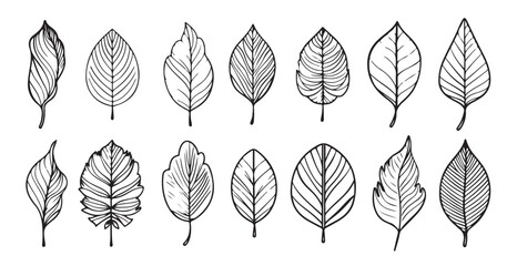 autumn leave set  © Xthjd