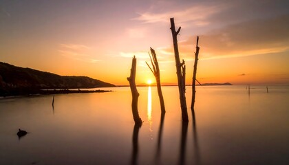 Silhouetted trees emerge from calm water during a vibrant, warm sunset over a distant shoreline
