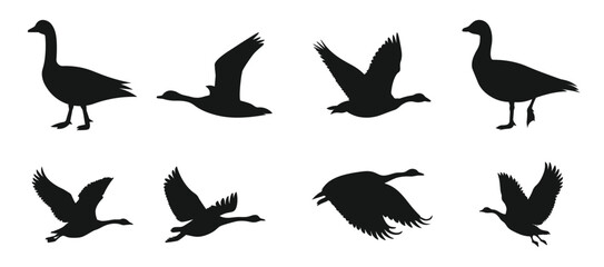 geese silhouettes standing ducks silhouettes swans ducks © Honvs