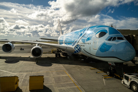 General view of the blue ANA All Nippon Airways "Flying Honu" sea turtle Airbus A380 on the tarmac at Honolulu International Airport in October 2025.
