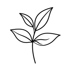Simple black outline of a plant stem with several leaves, isolated on white