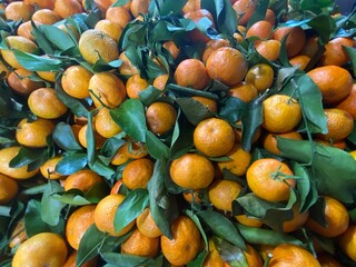 Fresh tangerines with stems and leaves, for sale at market.