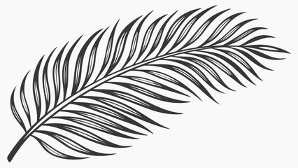 Obraz premium Elegant Palm Frond Illustration Detailed Botanical Drawing.