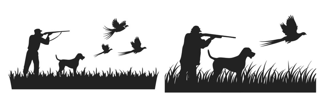 pheasant hunter with german wirehaired pointer hunting