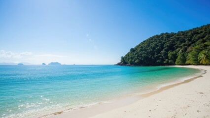 Fototapeta premium A serene beach with crystal clear water and lush greenery on a sunny day