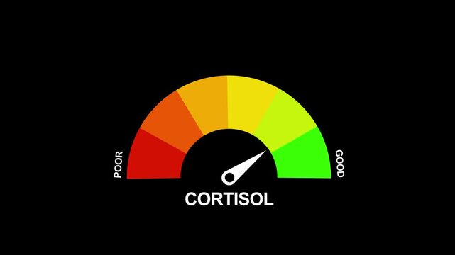Animated digital gauge displays cortisol level, ranging from safe low to critical high, indicator changes through green, yellow, and Motion graphics of mater level concept