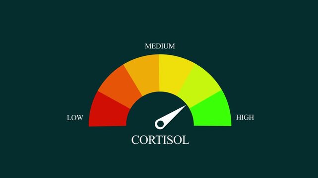 Animated digital gauge displays cortisol level, ranging from safe low to critical high, indicator changes through green, yellow, and Motion graphics of mater level concept