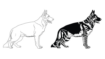 Obraz premium Profile view of a German Shepherd dog is presented in both a simple line drawing and a detailed black and white filled illustration.
