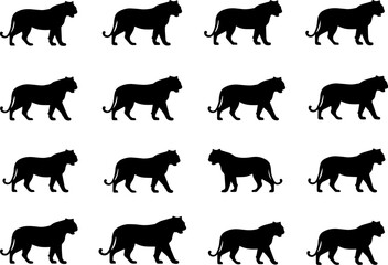 Set of 20 Tiger Silhouettes Collection in Various Poses Isolated on White.