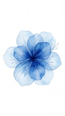 Watercolor Blue Flower
