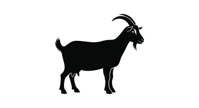 A striking black silhouette of a male goat showcasing its curved horns and distinctive beard presented on a white background silhouette