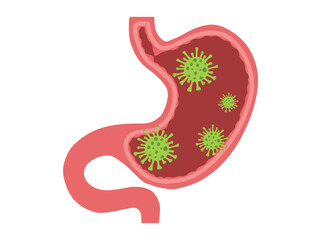 Fototapeta premium Stomach Infection Bacteria Virus