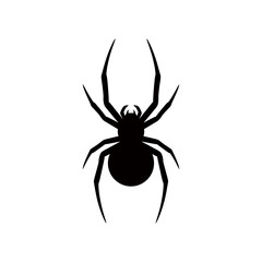 Silhouette of a black widow spider hourglass mark black shape on white background danger icon