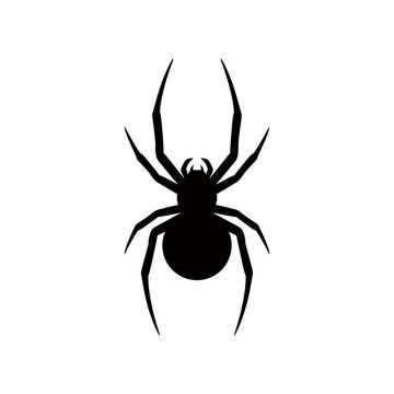 Silhouette of a black widow spider hourglass mark black shape on white background danger icon