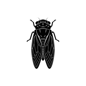 Silhouette of a cicada bug black shape on white background summer insect minimalistic vector clean