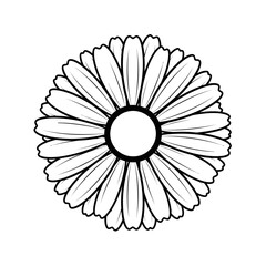 Fototapeta premium Silhouette of a Flower Daisy Shape Spring Icon Vector Graphic