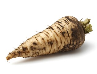 A large, unpeeled parsnip root vegetable on a white background