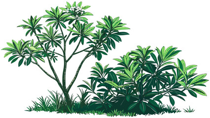 Fototapeta premium Lush Greenery A Vibrant Tree and Bush Illustration.