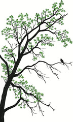 Silhouette of a Tree with a Bird Perched on a Branch 1.