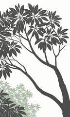 Silhouette of a Tree with Dense Foliage Against a White Background.