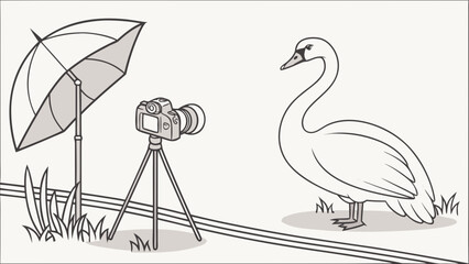 Swan Photography Setup Capturing Elegance in Black and White.