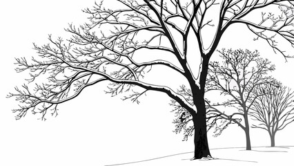 Winter Trees Silhouette Bare Branches in a Snowy Landscape.