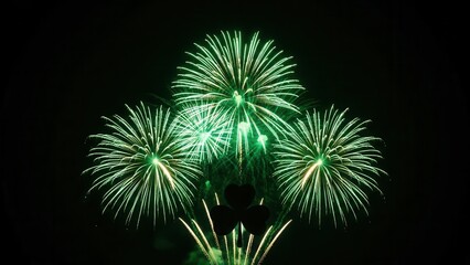 Fototapeta premium Vibrant green fireworks burst illuminating the dark night sky, celebrating joyous moments with a