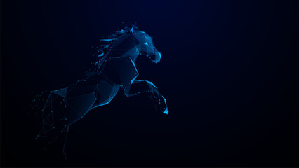 Horse is jumping in the air with its head up