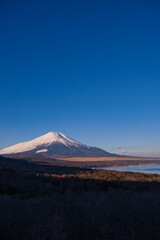 山中湖明神山パノラマ台から望む冠雪の富士山