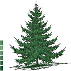 Detailed Spruce Tree Illustration with Blue Highlights and Green Tones.