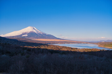 山中湖明神山パノラマ台から望む冠雪の富士山