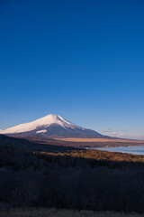 山中湖明神山パノラマ台から望む冠雪の富士山