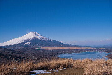 鉄砲木の頭から望む冠雪の富士山
