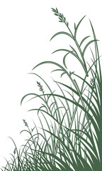 Fototapeta premium Elegant Grass Illustration on White Background for Design.