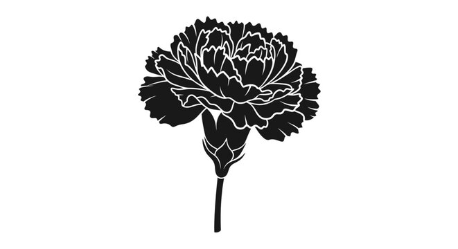 Elegant black and white carnation vector illustration with detailed petals and stem offering a